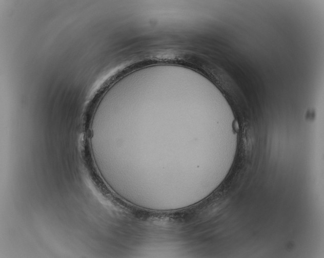 X0000111640728200908141406