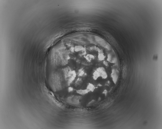 X0000111640729200908141406