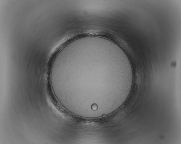X0000111640730200908141406