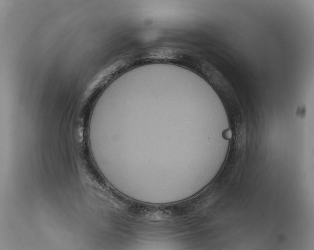 X0000111640731200908141406
