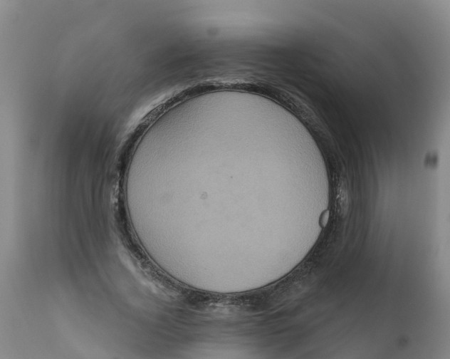 X0000111640732200908141406