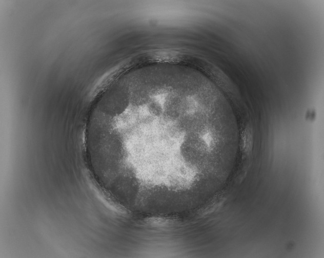 X0000111640733200908141406