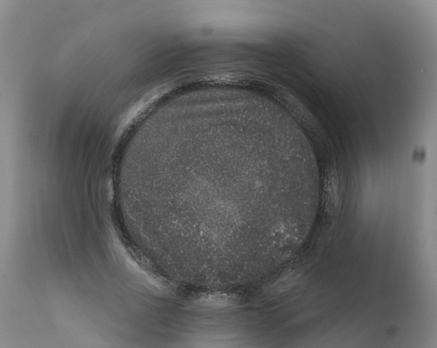 X0000111640734200908141406