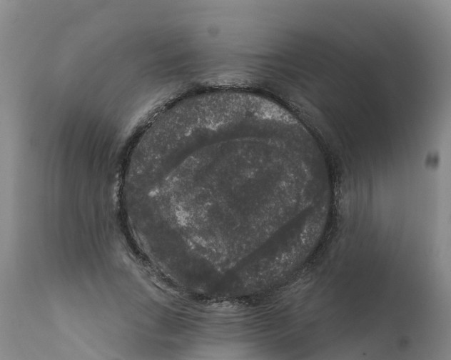 X0000111640735200908141406