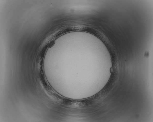 X0000111640736200908141406