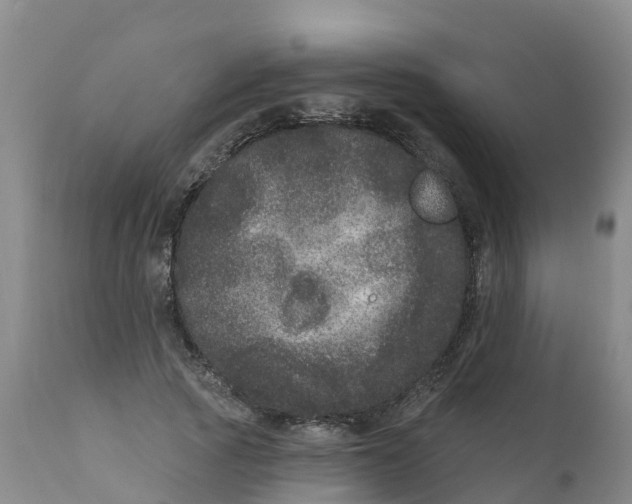 X0000111640737200908141406