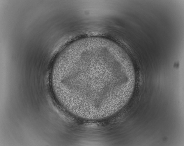 X0000111640738200908141406