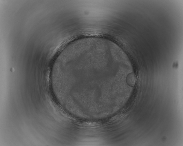 X0000111640739200908141406