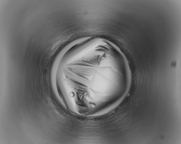 X0000111640740200908141406