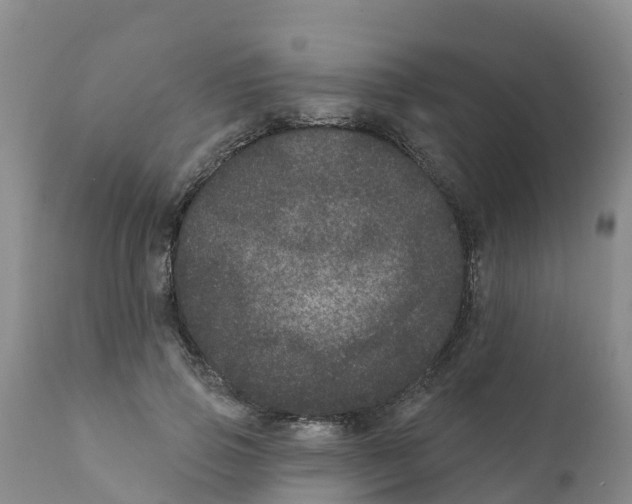 X0000111640741200908141406