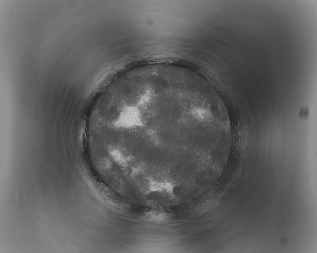 X0000111640742200908141406