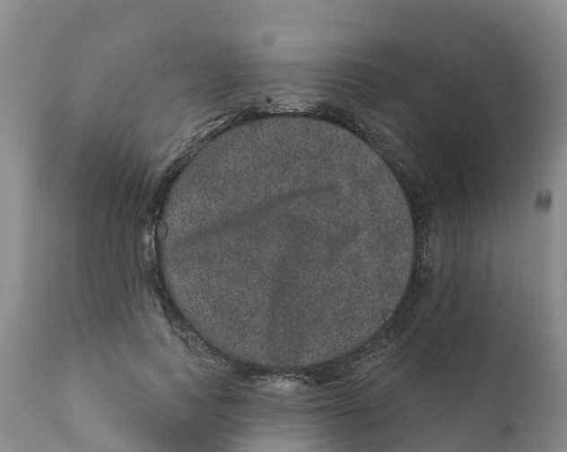 X0000111640743200908141406