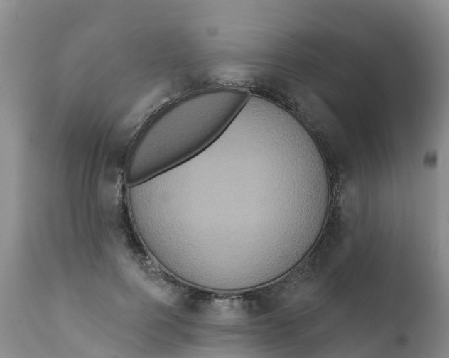 X0000111640744200908141406
