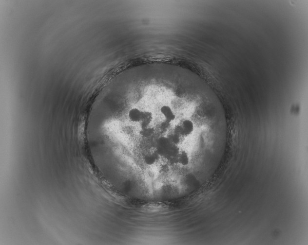 X0000111640745200908141406