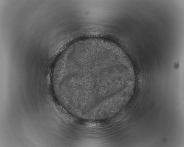X0000111640746200908141407