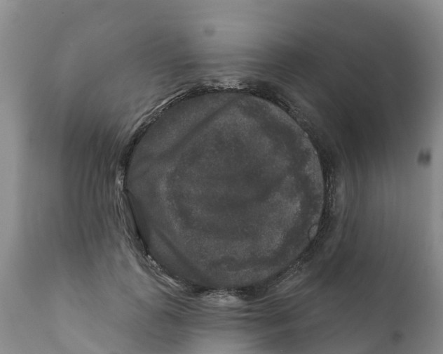 X0000111640747200908141407