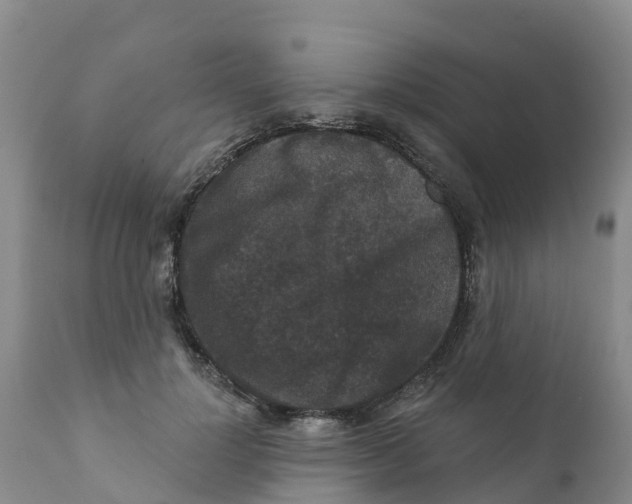 X0000111640748200908141407