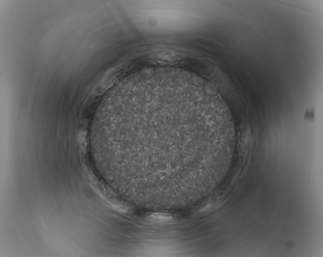 X0000111640749200908141407