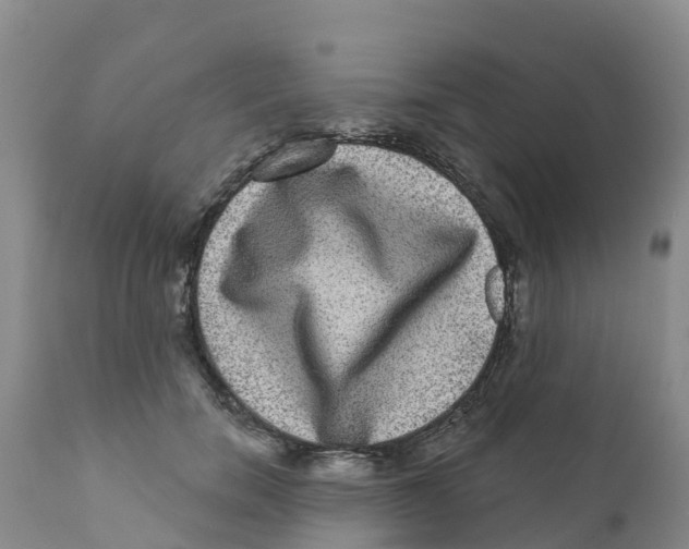 X0000111640750200908141407