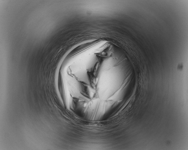 X0000111640752200908141407