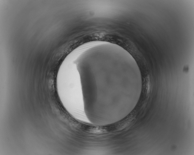 X0000111640754200908141407