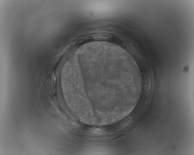 X0000111640755200908141407