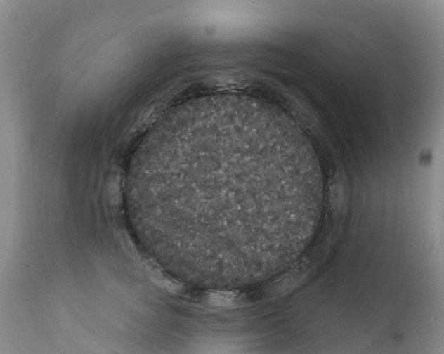 X0000111640757200908141407