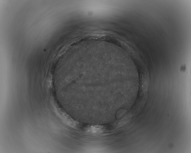 X0000111640758200908141407