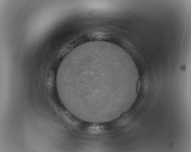 X0000111640760200908141407