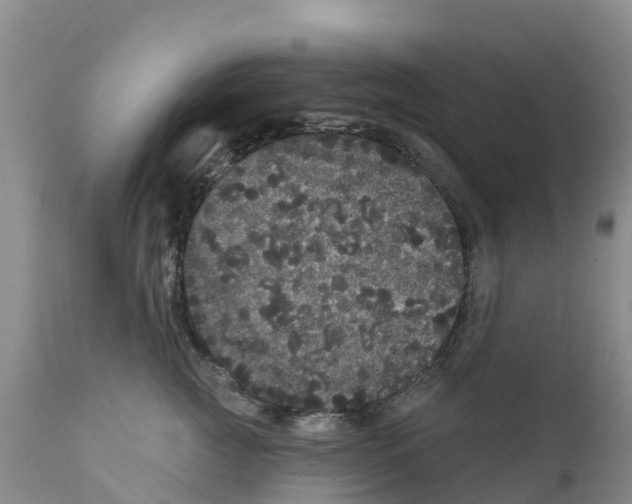 X0000111640761200908141407