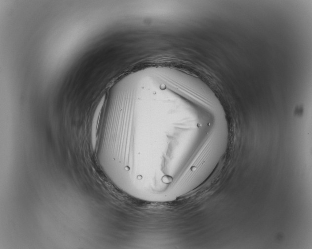 X0000111640762200908141407
