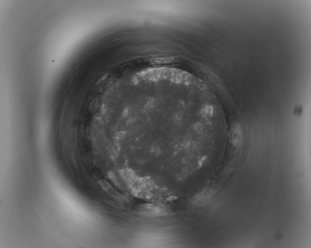 X0000111640763200908141407