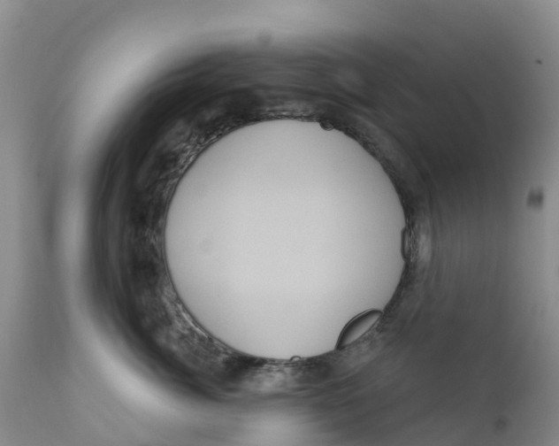 X0000111640764200908141407