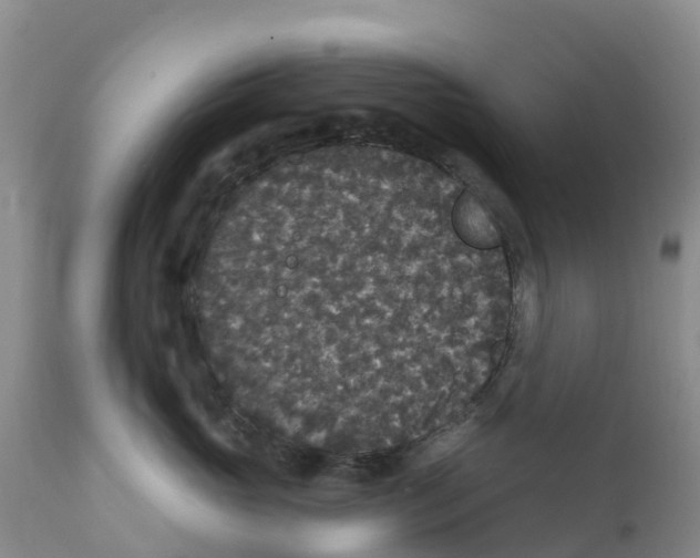X0000111640765200908141407