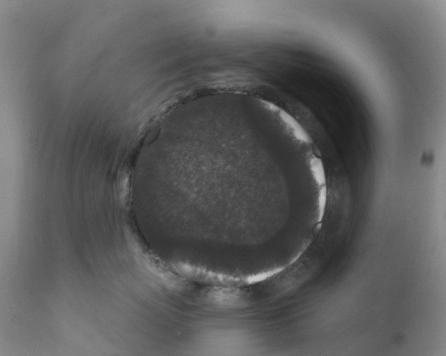 X0000111640767200908141407