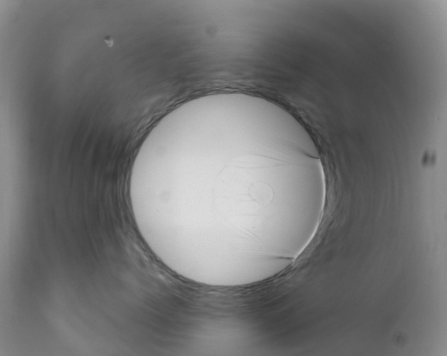 X0000111640768200908141407