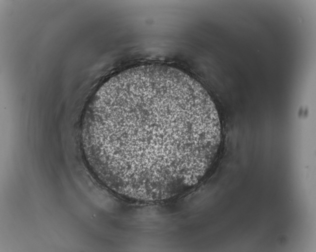 X0000111640769200908141406