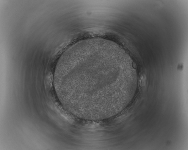 X0000111640772200908141406