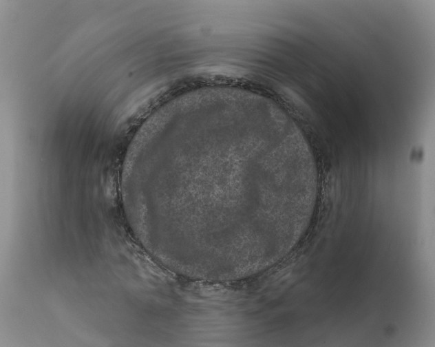 X0000111640774200908141406