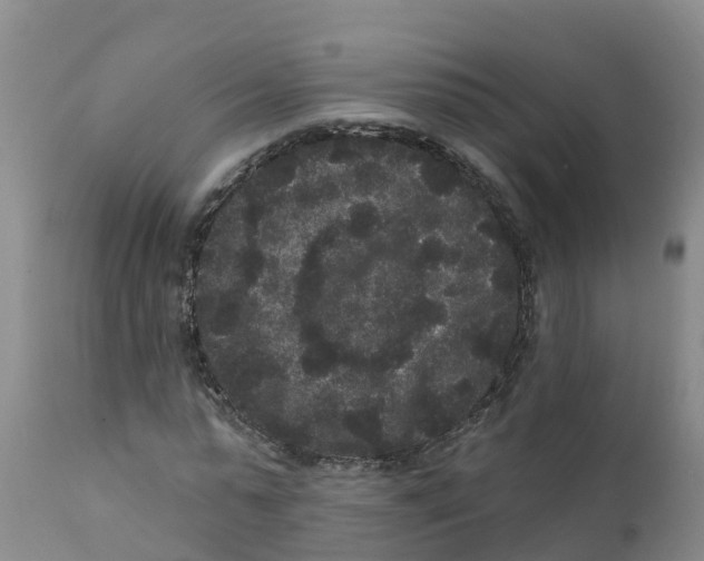 X0000111640775200908141406