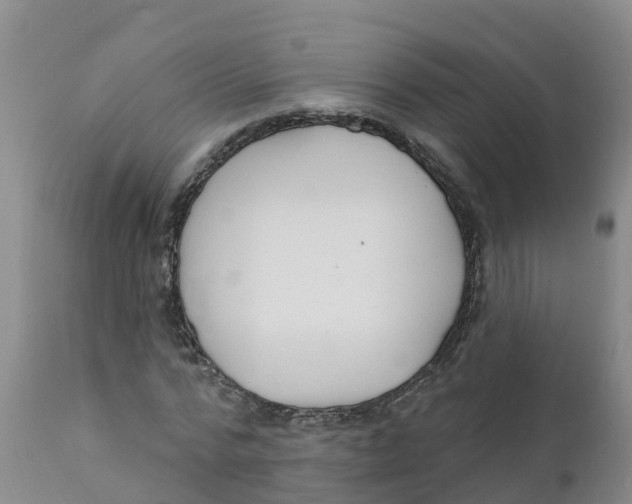 X0000111640776200908141406