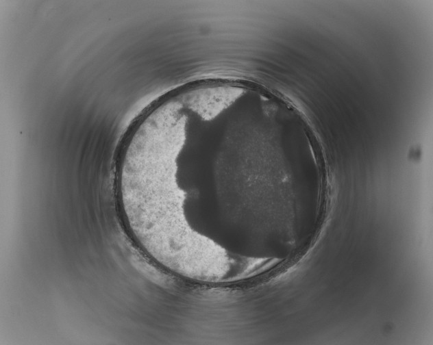 X0000111640779200908141406