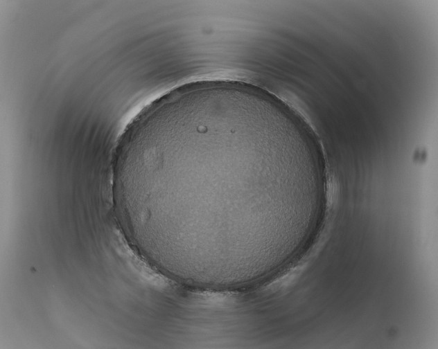 X0000111640781200908141406