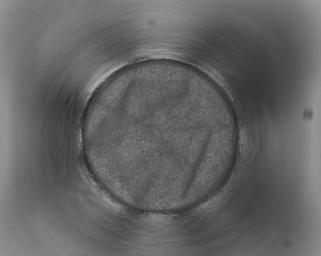 X0000111640782200908141406