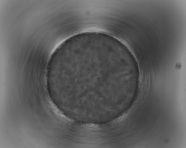 X0000111640783200908141406