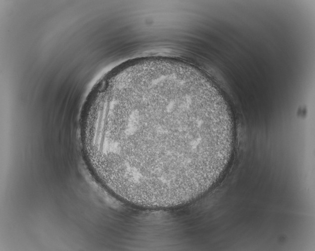 X0000111640784200908141406