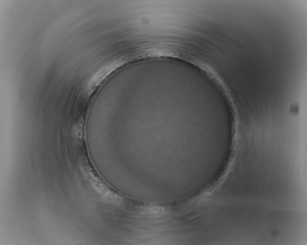 X0000111640785200908141406
