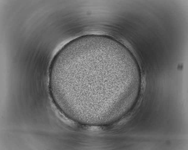 X0000111640787200908141406