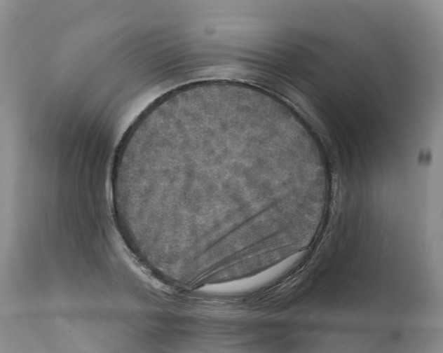 X0000111640788200908141406