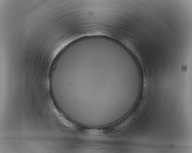 X0000111640789200908141406